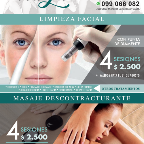 DISEÑO - FOLLETO 6